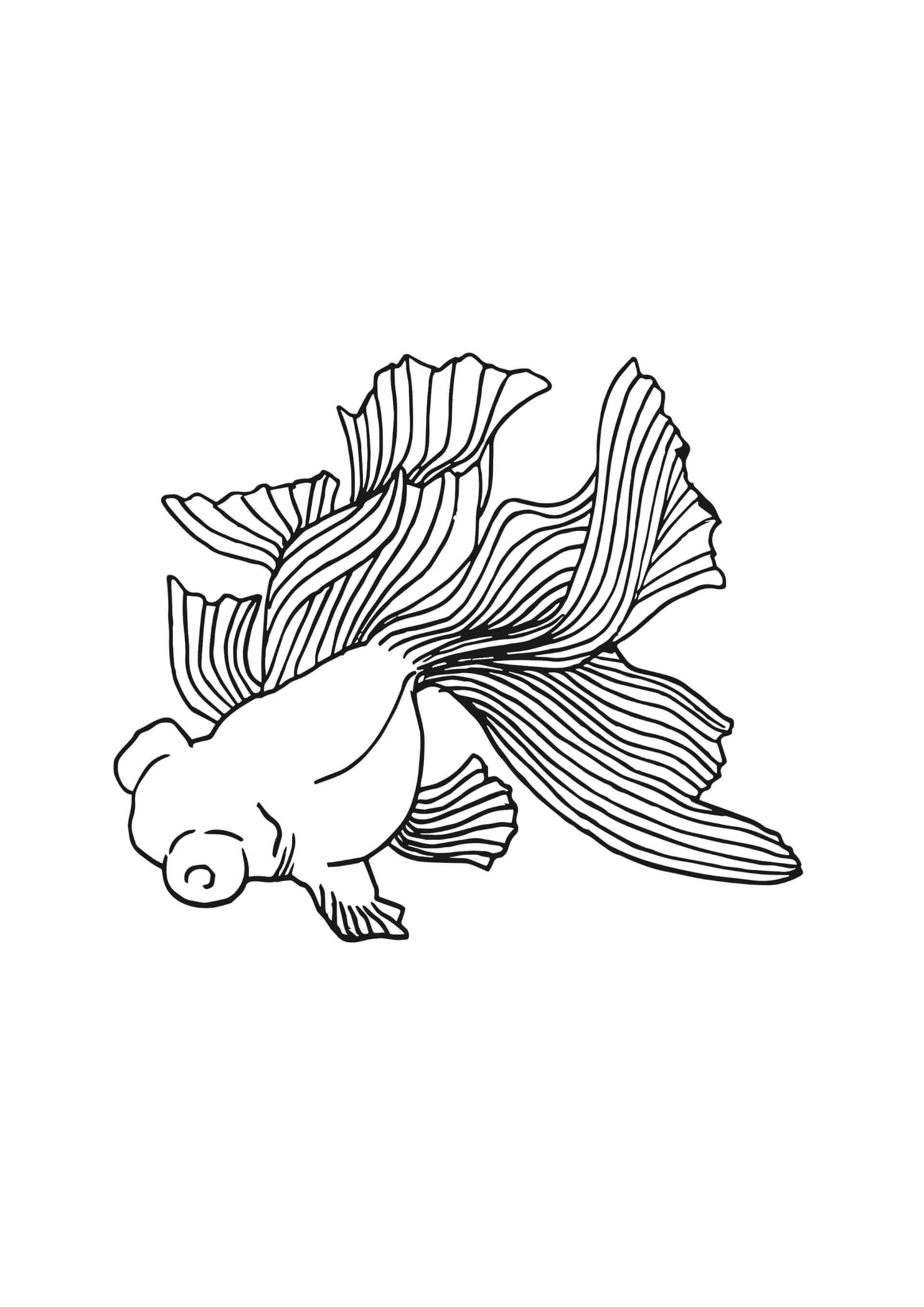 Tattoo - Fish | Canaille Illustration