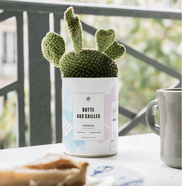 Collab - Ay Cactus | Canaille Illustration