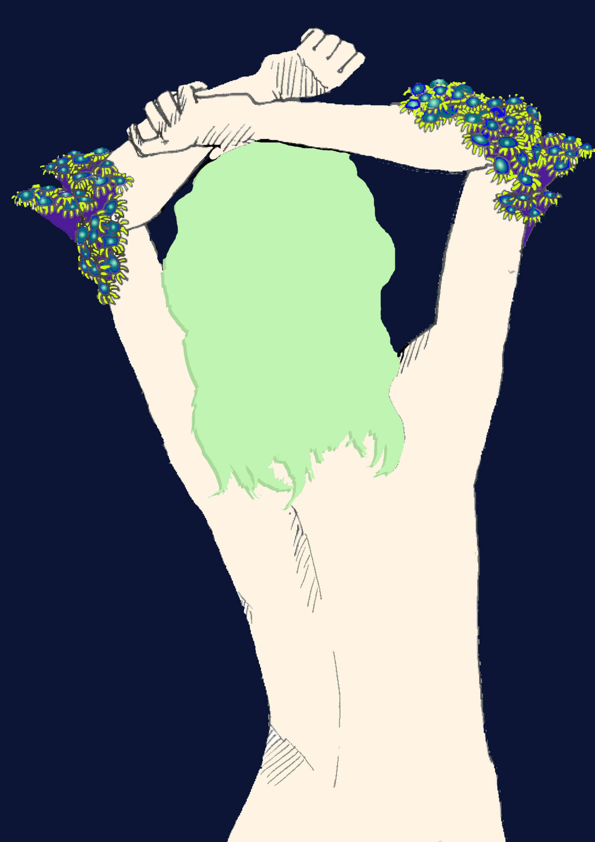 - | Canaille Illustration