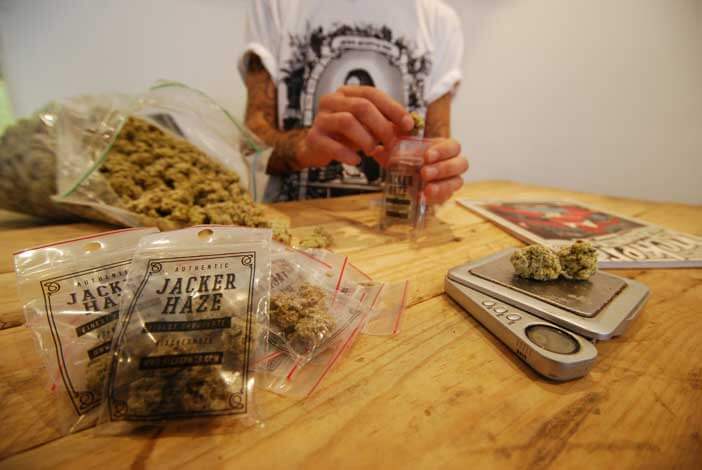 JACKER HAZE / UNE WEED SURPRENANTE | Star Wax Magazine