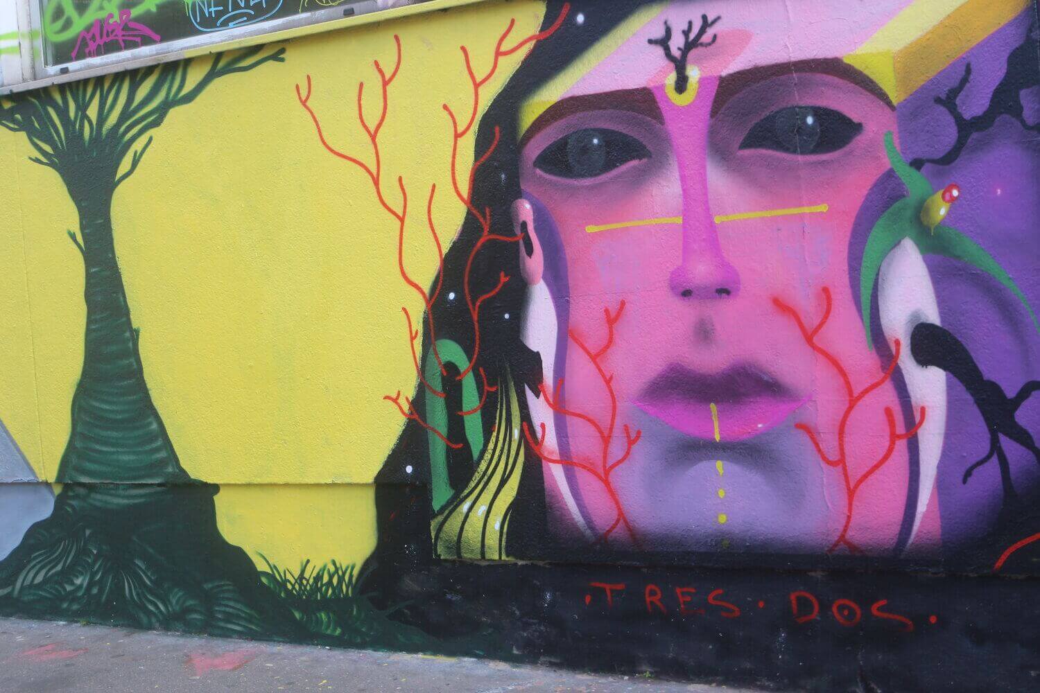 Latin American Muralists — Paris Lit Up | Liana Perez