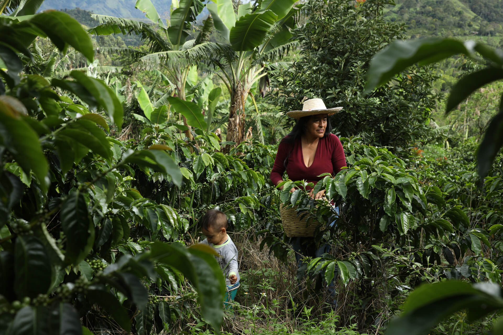 Agricultura Familial | Both Nomads