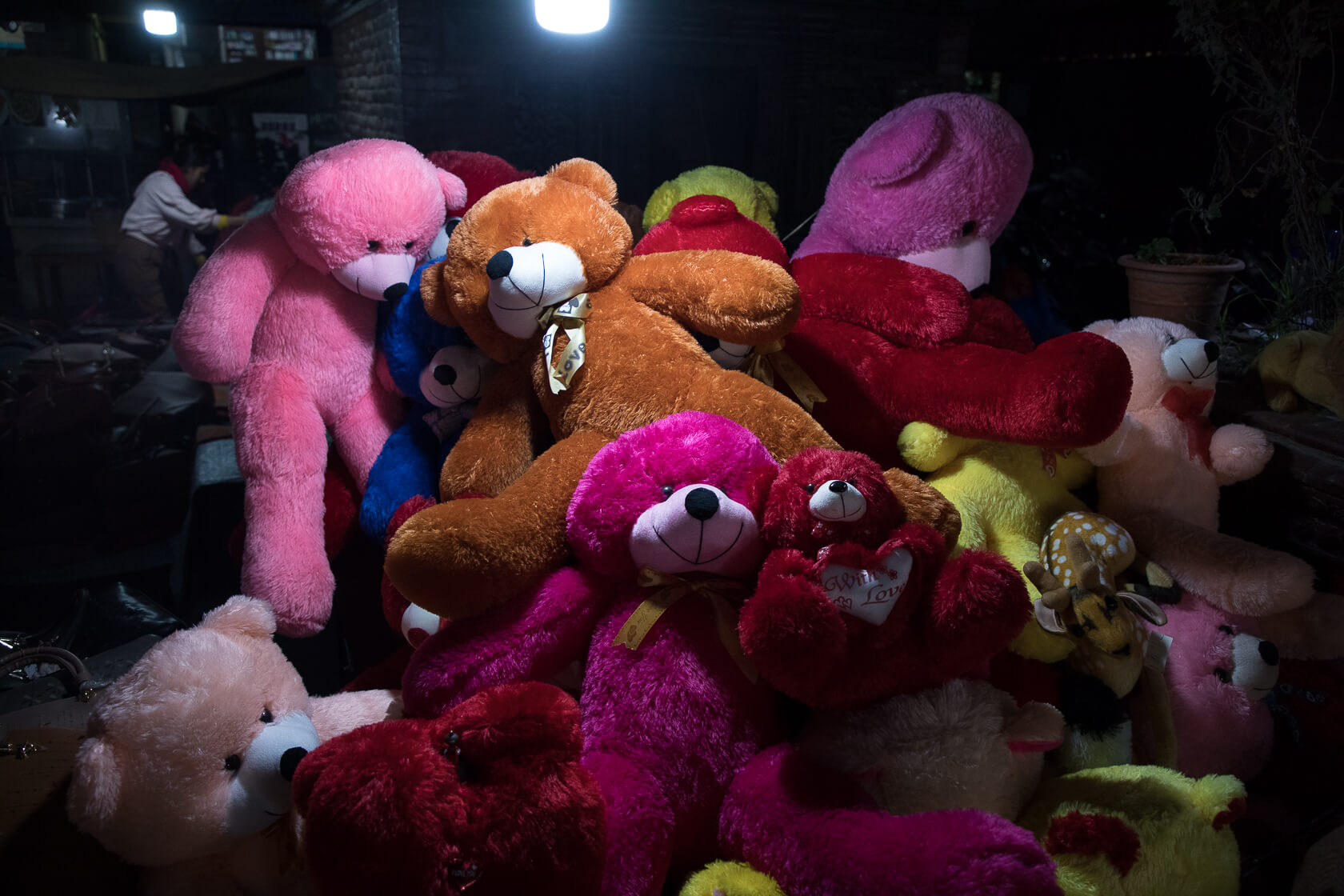 Bear mania | Both Nomads