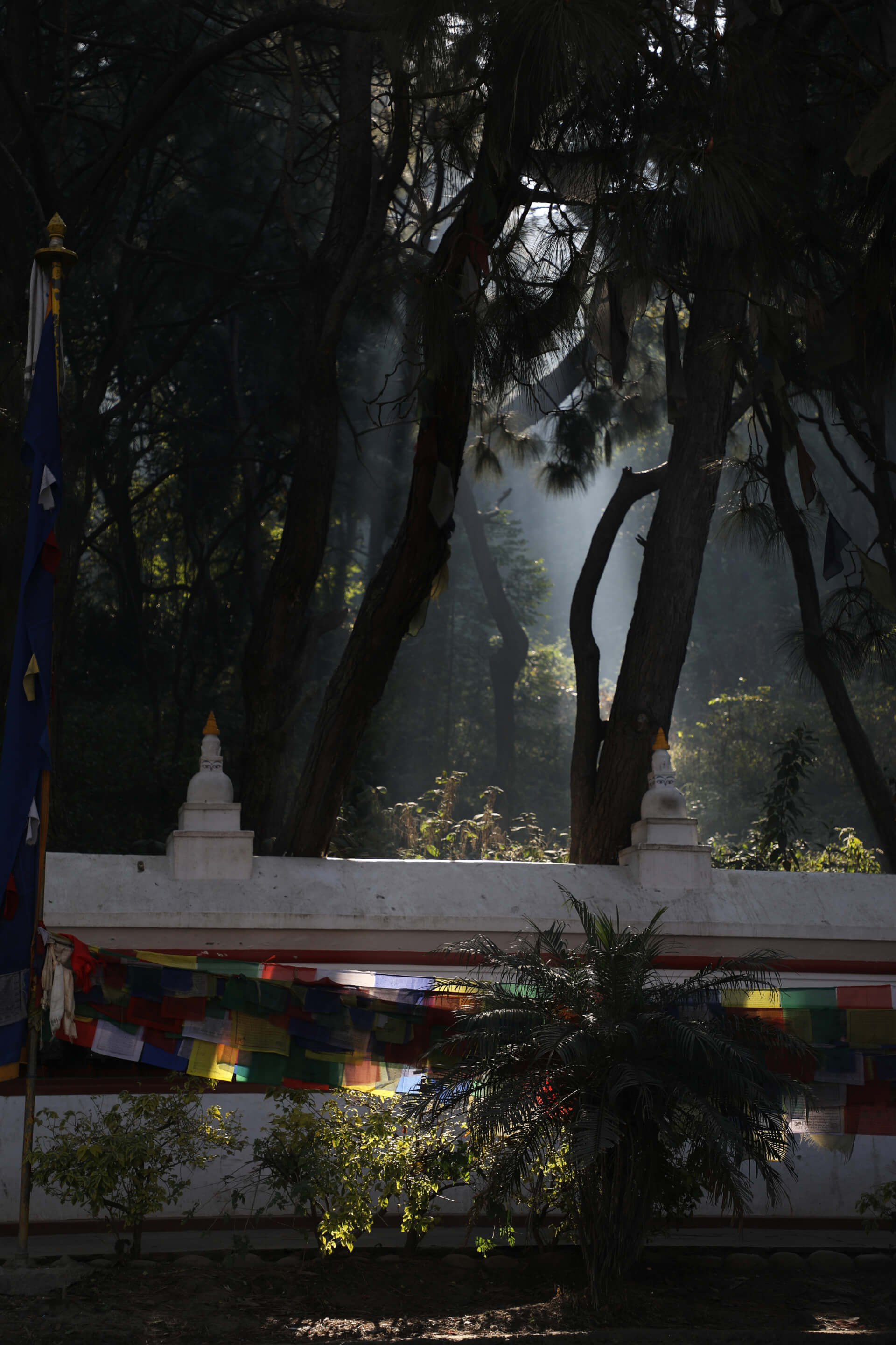 Mornings in Swayambhunath | Both Nomads