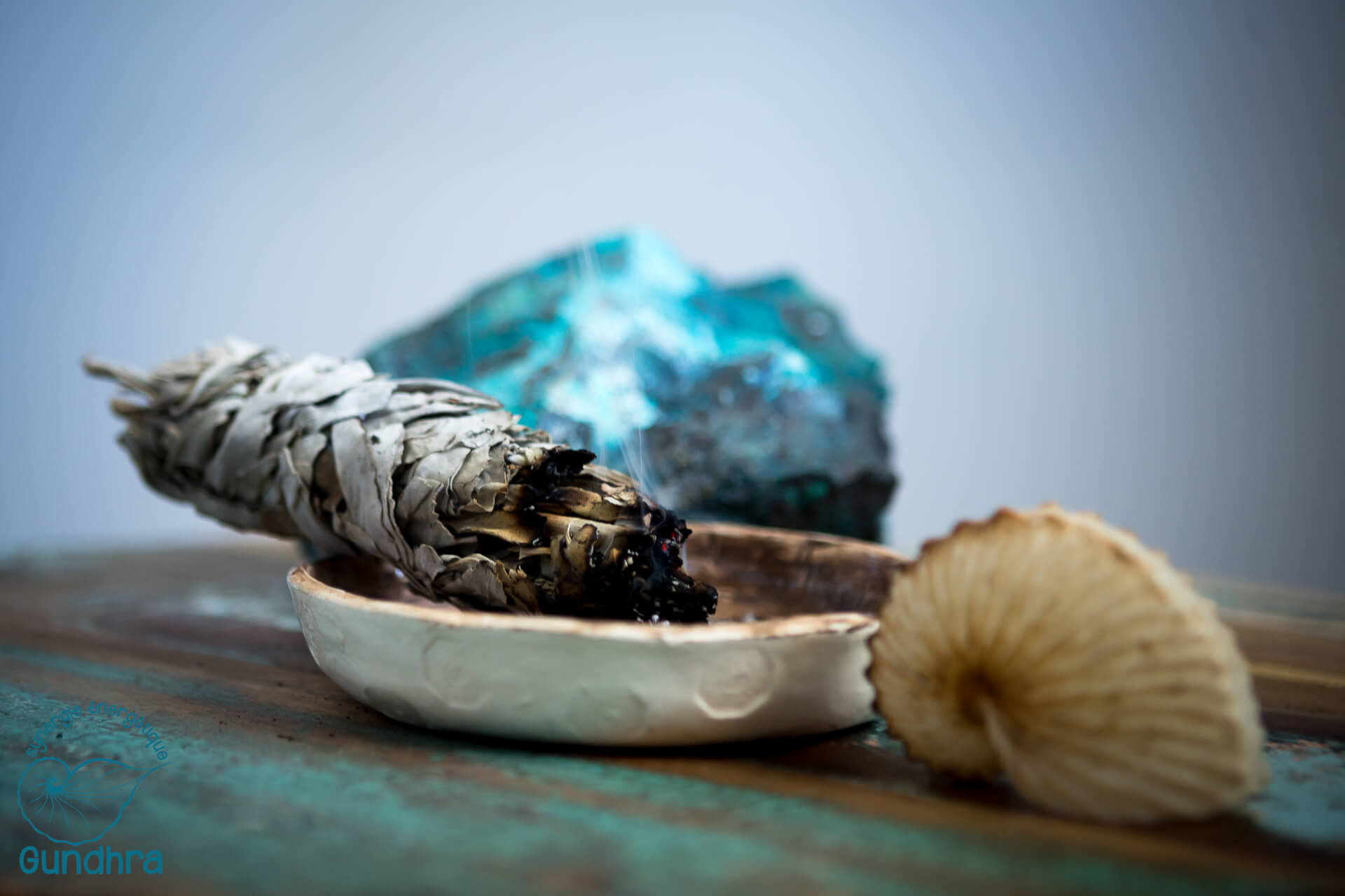 FFSEG - Fédération Française de Synergie Énérgétique Gundhra