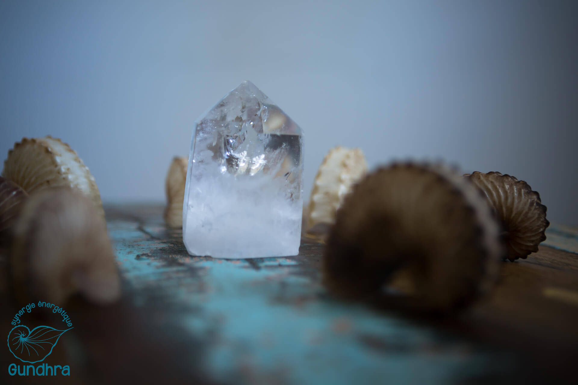 FFSEG - Fédération Française de Synergie Énérgétique Gundhra