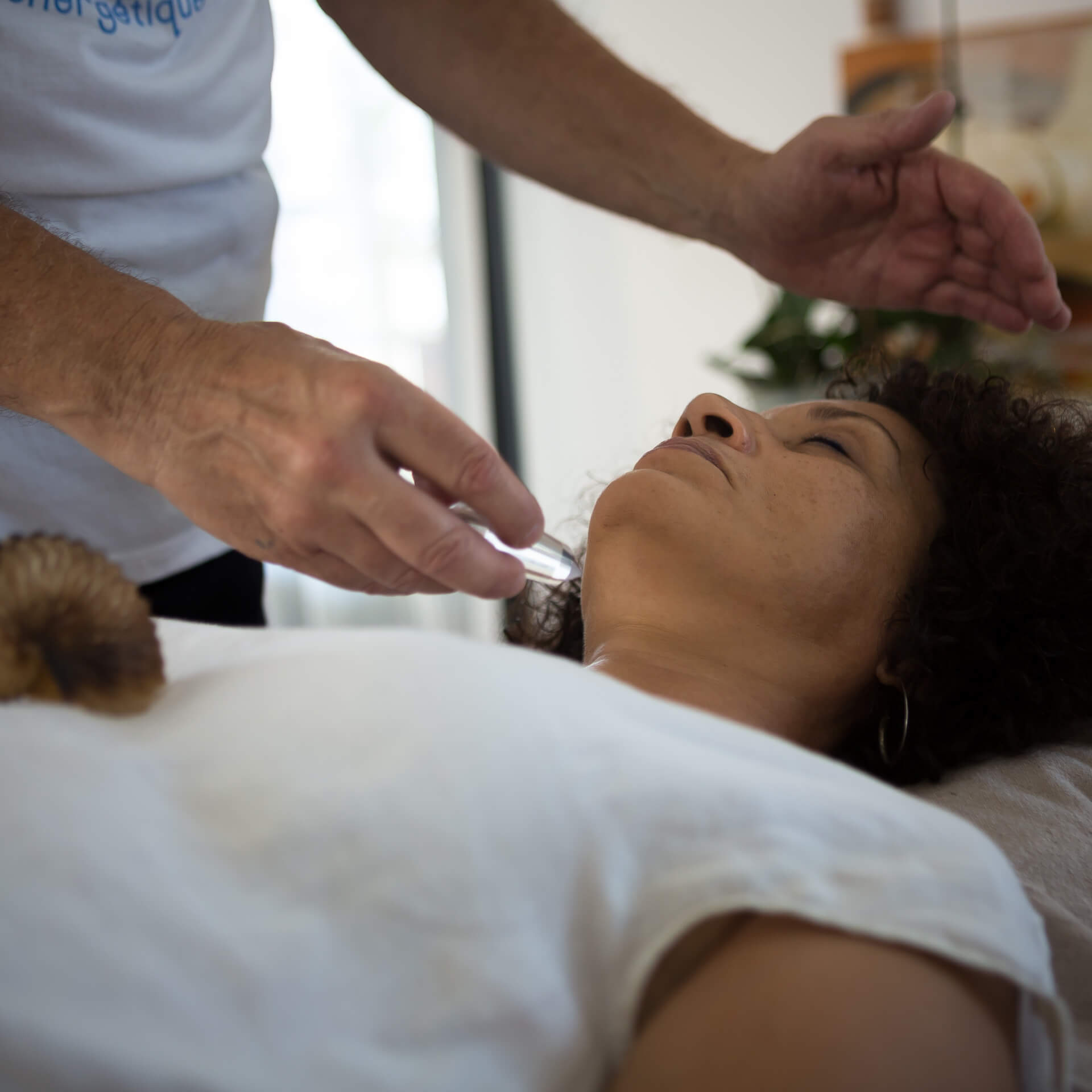 FFSEG - Fédération Française de Synergie Énérgétique Gundhra