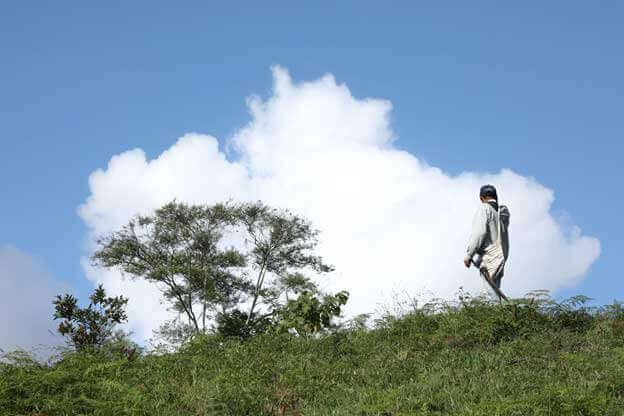 From Paraguay to Italy: Development at all Costs | Forus