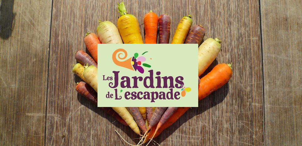 S’installer paysan.ne, oui mais comment ? | Vivant·e !