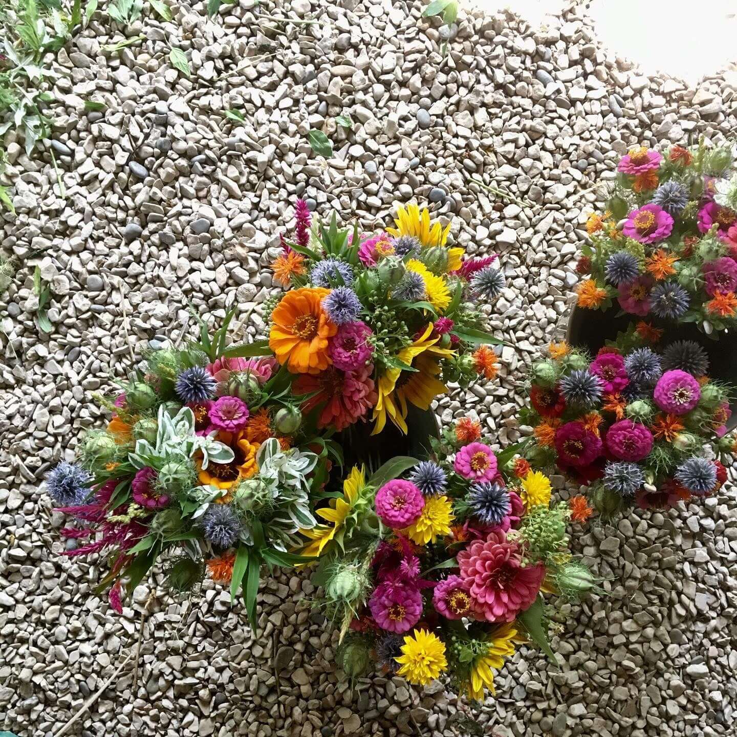 Journée festive au Potager d'un curieux ! | Vivant·e !