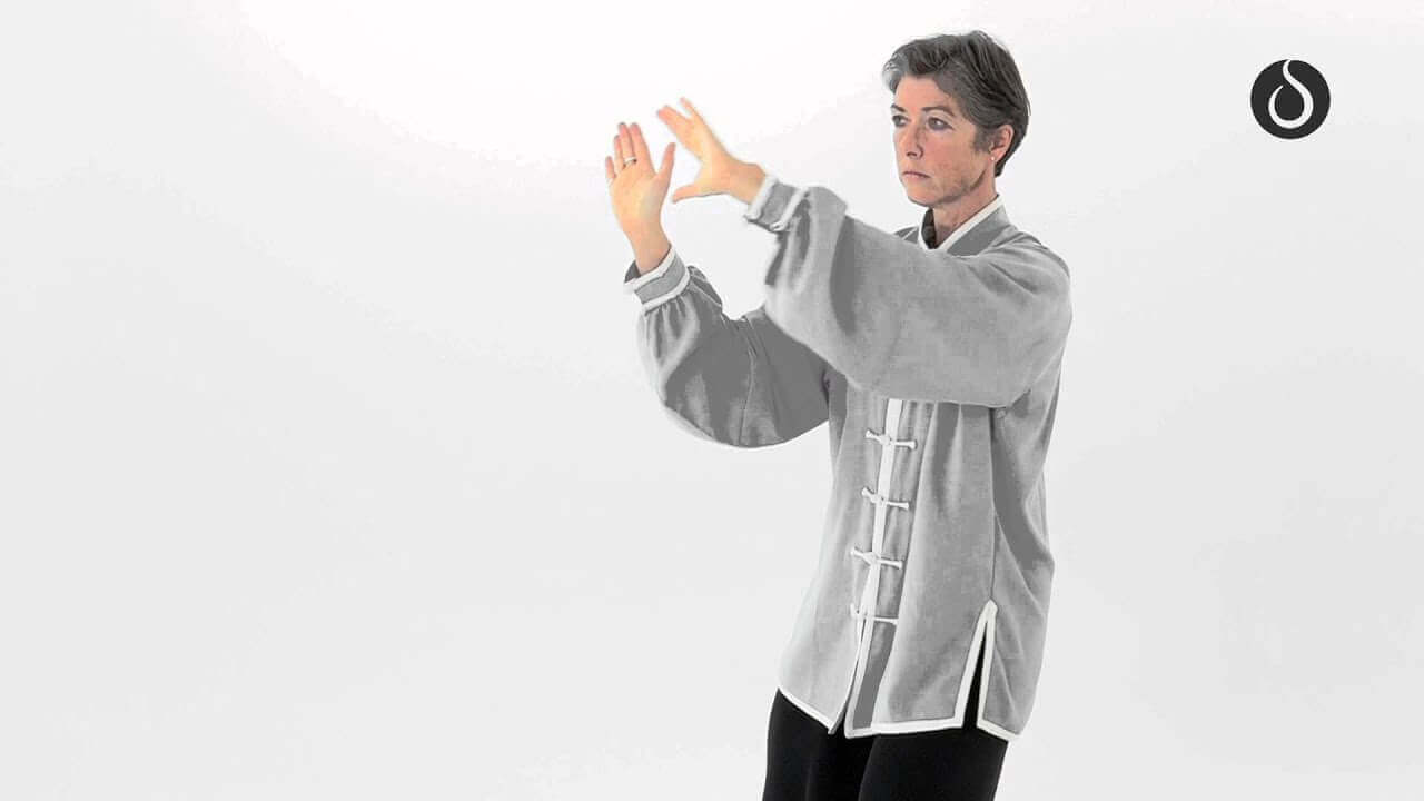 Démonstration de Tai Chi Chuan - par Magali Canté