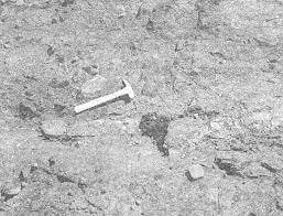 Balthazar Blumberg | Forgeries & En 3000 Éditions