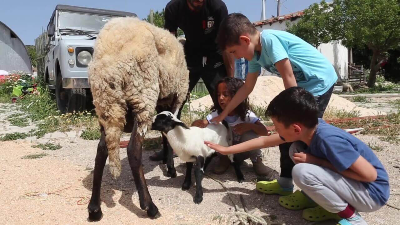 Imece Village - Children