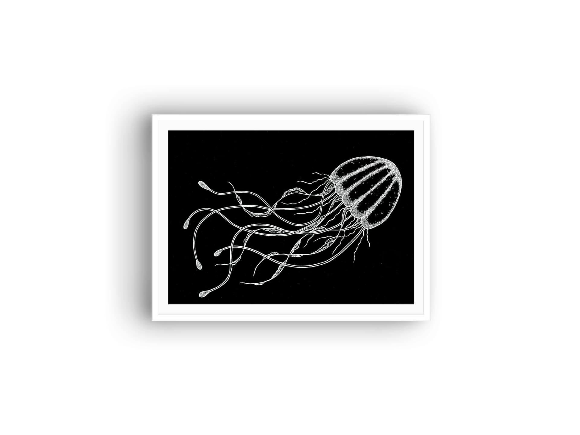 Illustrations | Kumo