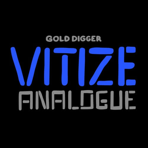 VITIZE - Analogue [Gold Digger Records] | Gold Digger Records