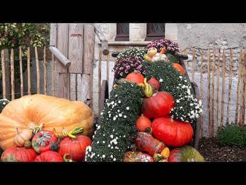 Aubigny sur Nère 2020 | L'Oiseau Bleu/QingNiao