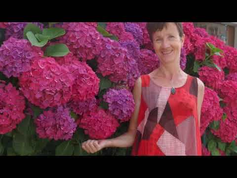 Stage Taichi Dinard 2020