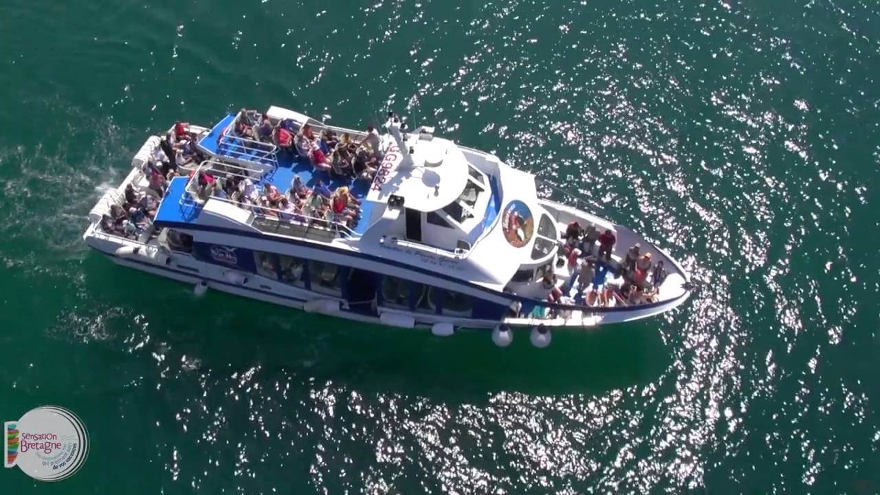 Sensation Bretagne en plein vol : Stage de taichi avec l'Oiseau Bleu | L'Oiseau Bleu/QingNiao