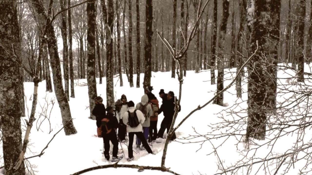 Les stages de février 2015