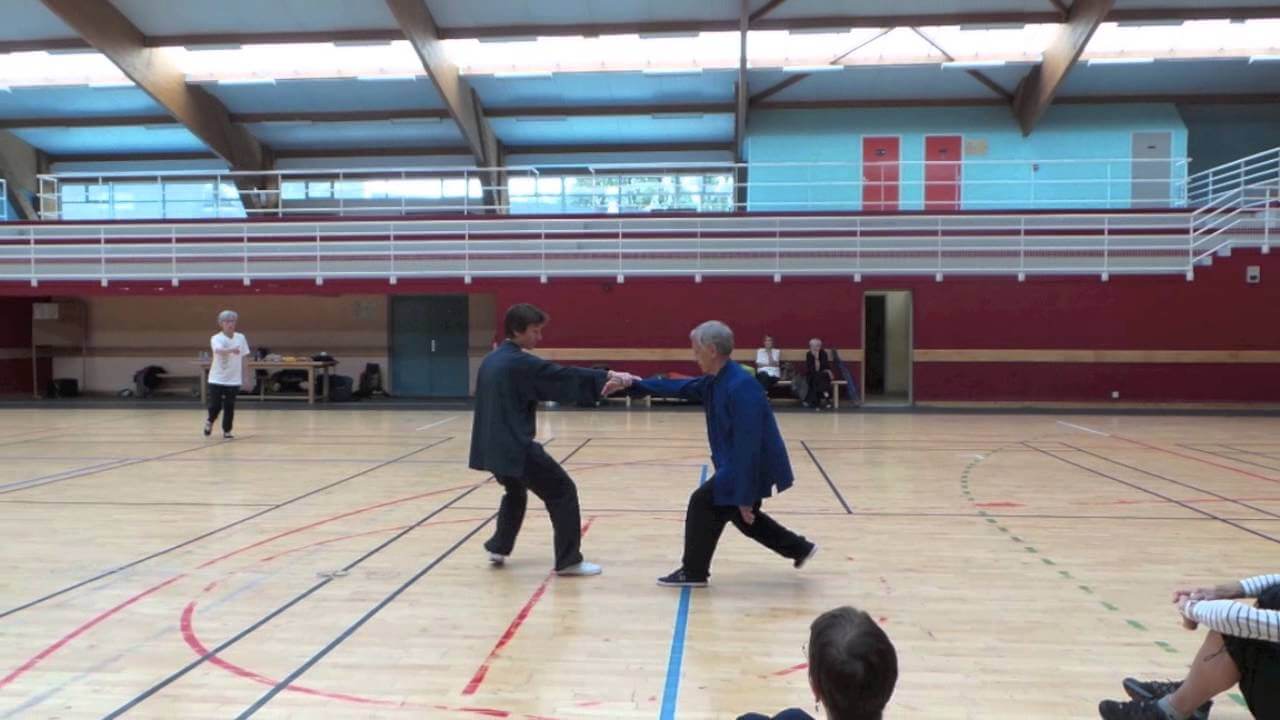 Stage Taichi été 2014 "L'Oiseau Bleu chez les Stuarts"