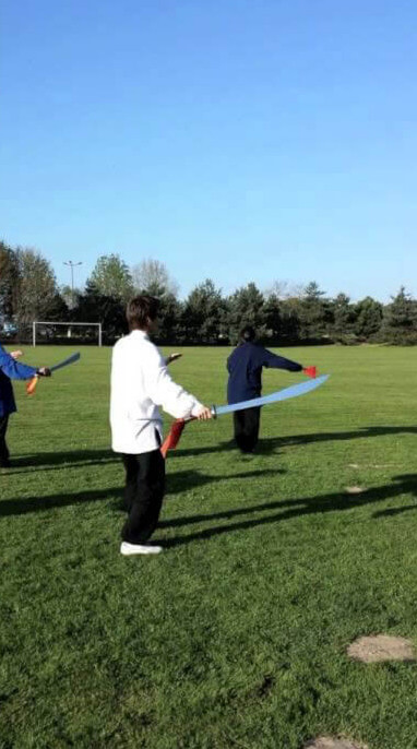 Stage Taichi été 2014  bande annonce