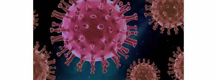 C - Corps-on-a | Babelmed