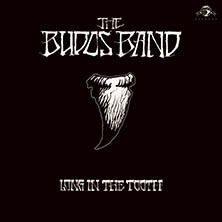 THE BUDOS BAND / LONG IN THE TOOTH  LP | Star Wax Magazine