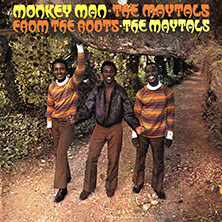 THE MAYTALS / MONKEY MAN-FROM THE ROOTS | Star Wax Magazine