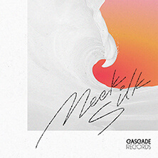 V.A. / MEEK SILK  | Star Wax Magazine