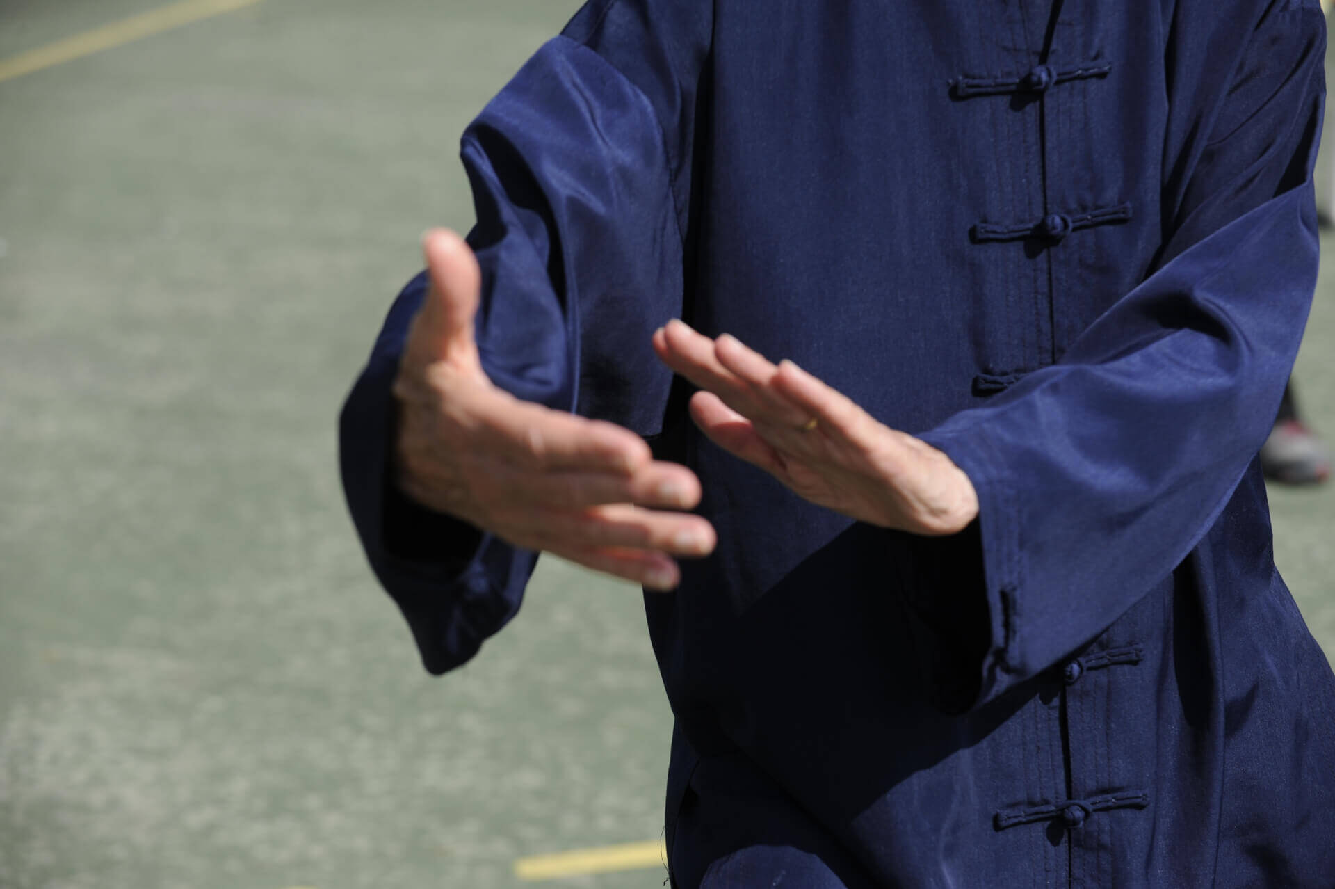 L'Oiseau Bleu/QingNiao