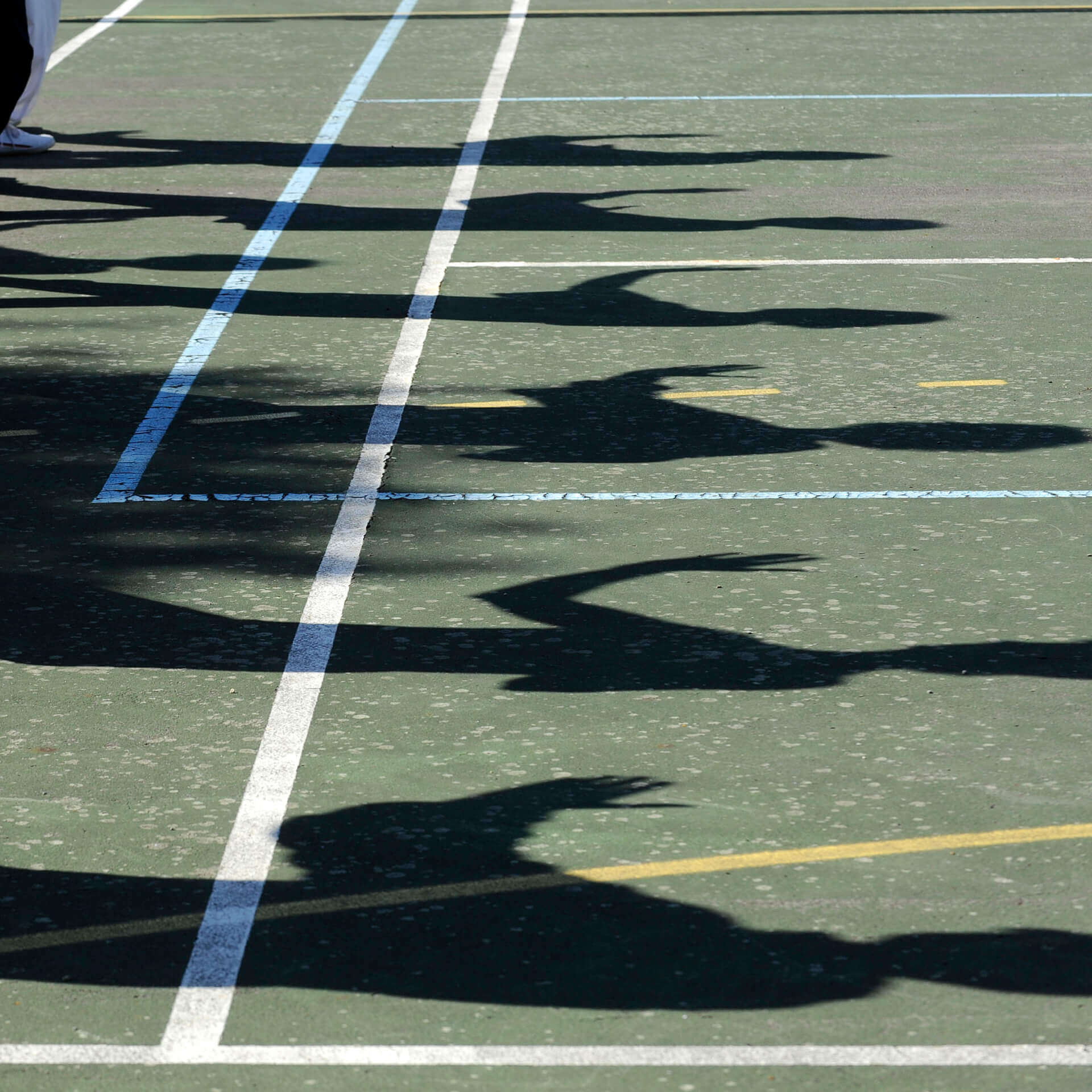 L'Oiseau Bleu/QingNiao