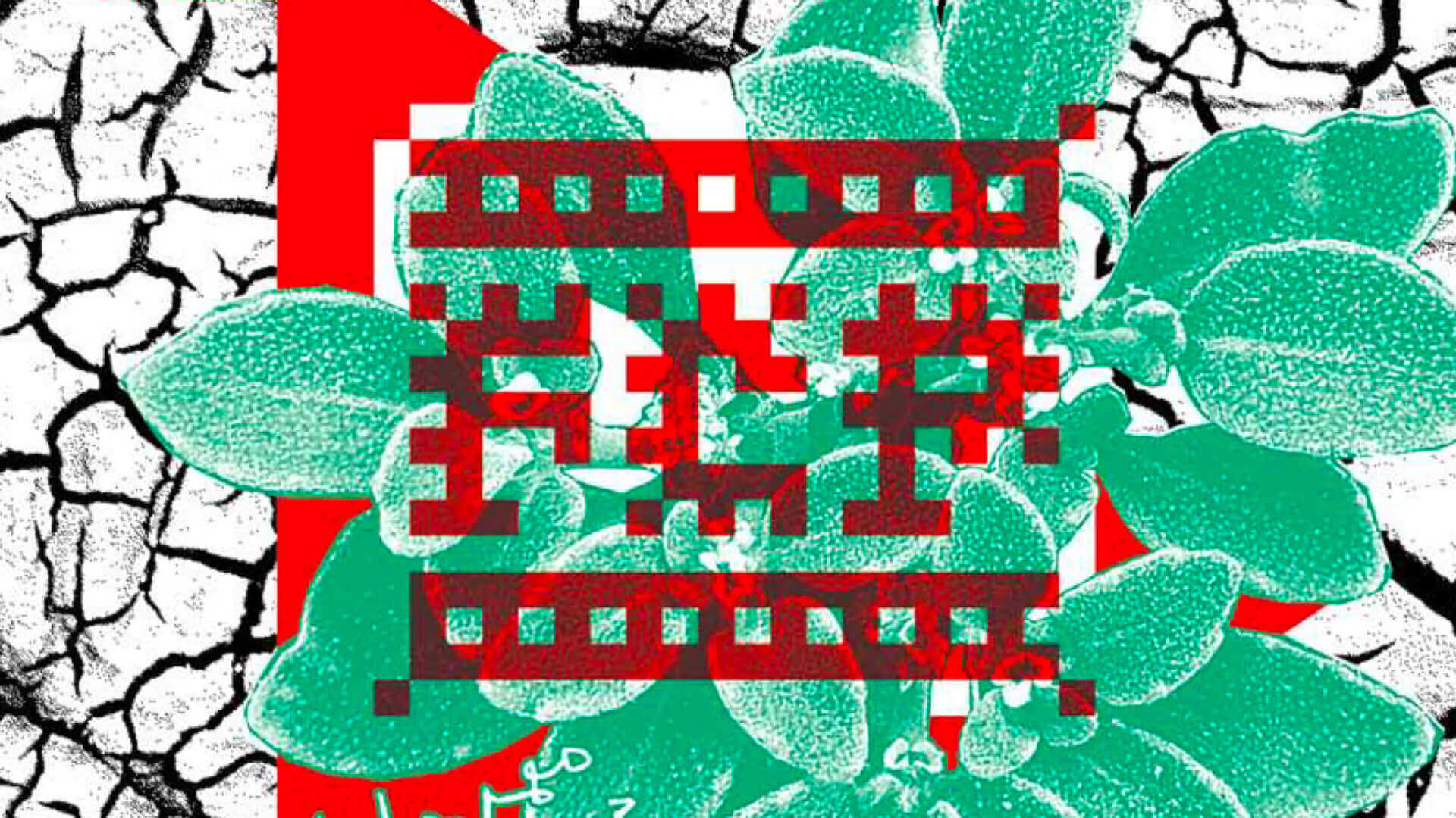 Bilan FCP 2016 | Festival Ciné-Palestine - FCP