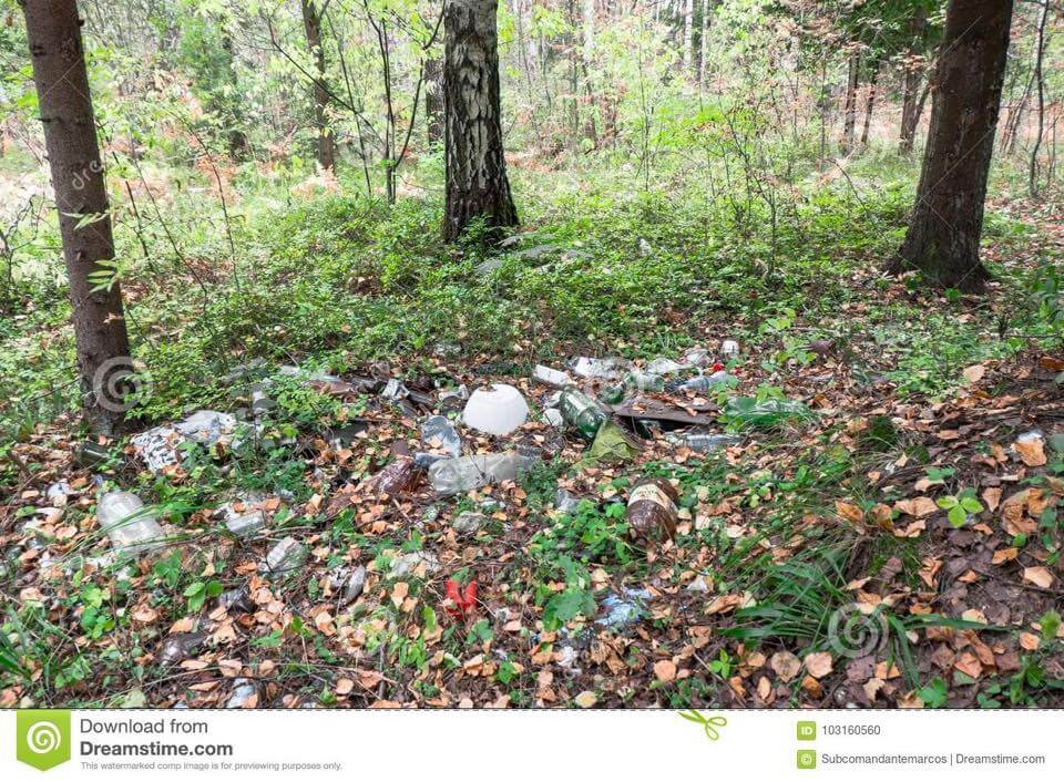 Journée de Nettoyage | AEQV