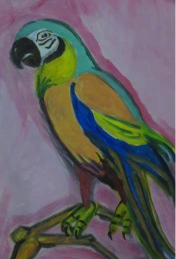 Coco le perroquet | L’Art sans Gène