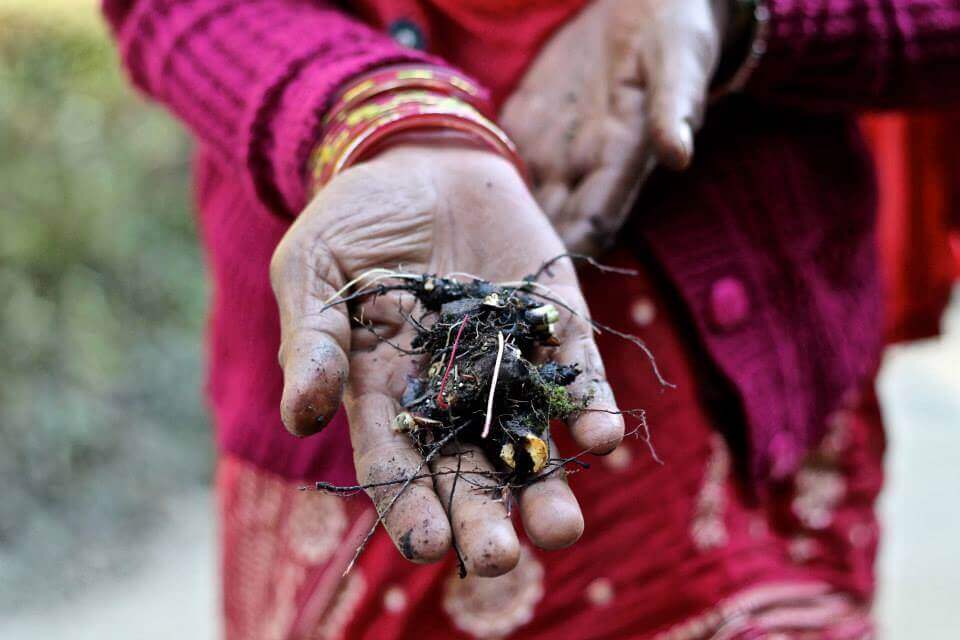 Rural women: in the shadow of “growth policies” | | Forus