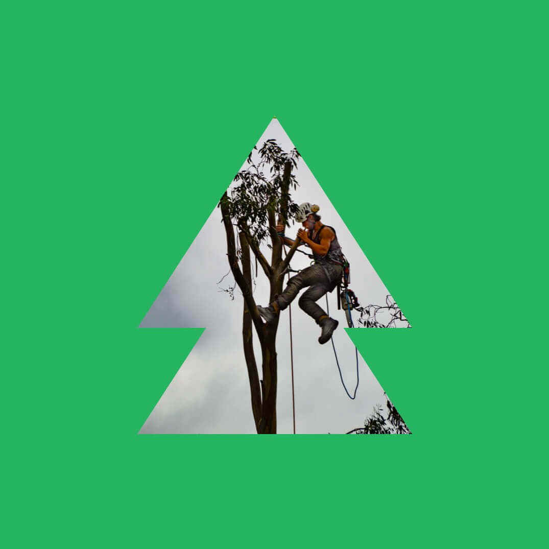 L'Outil en Main France