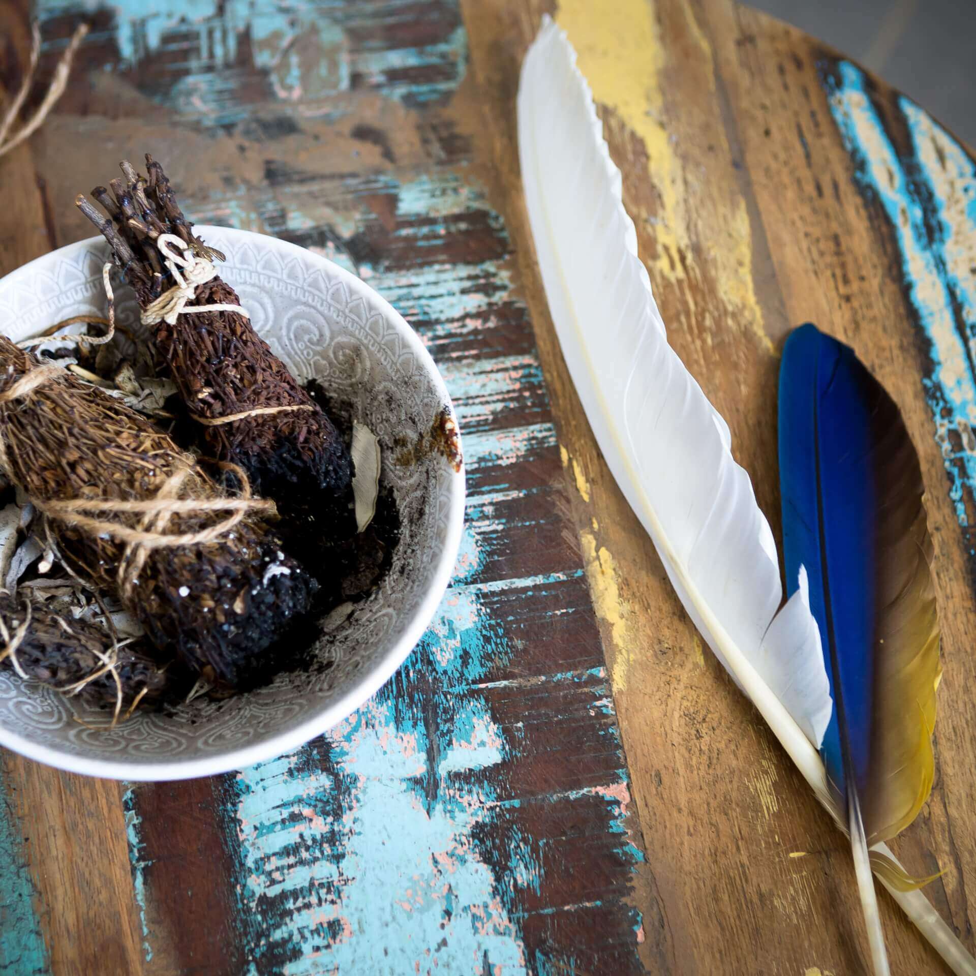 FFSEG - Fédération Française de Synergie Énérgétique Gundhra