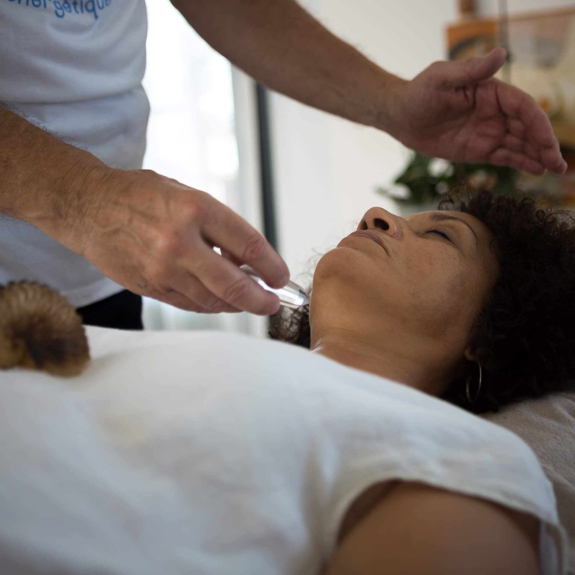 FFSEG - Fédération Française de Synergie Énérgétique Gundhra