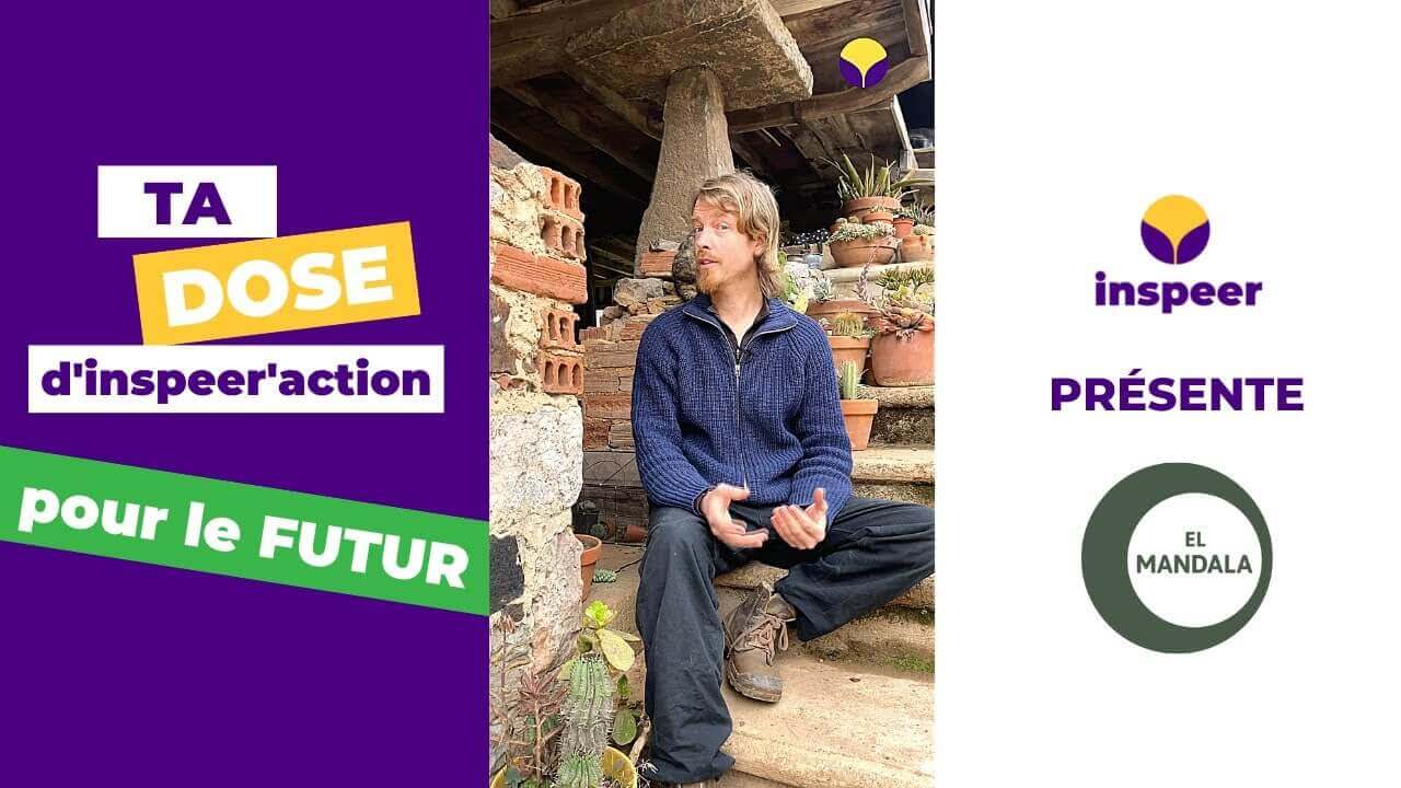 Viens prendre ta DOSE x El Mandala 🏠 | Inspeer