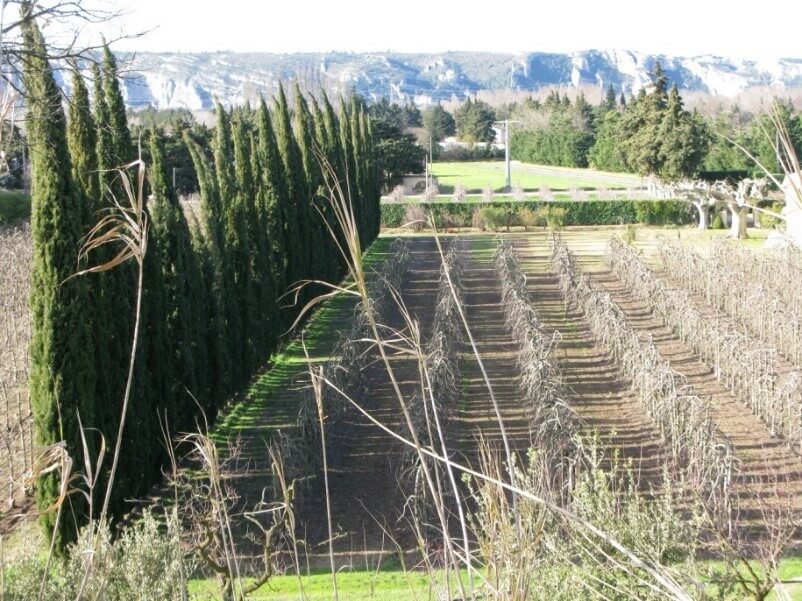 Terres Vivantes | AEQV