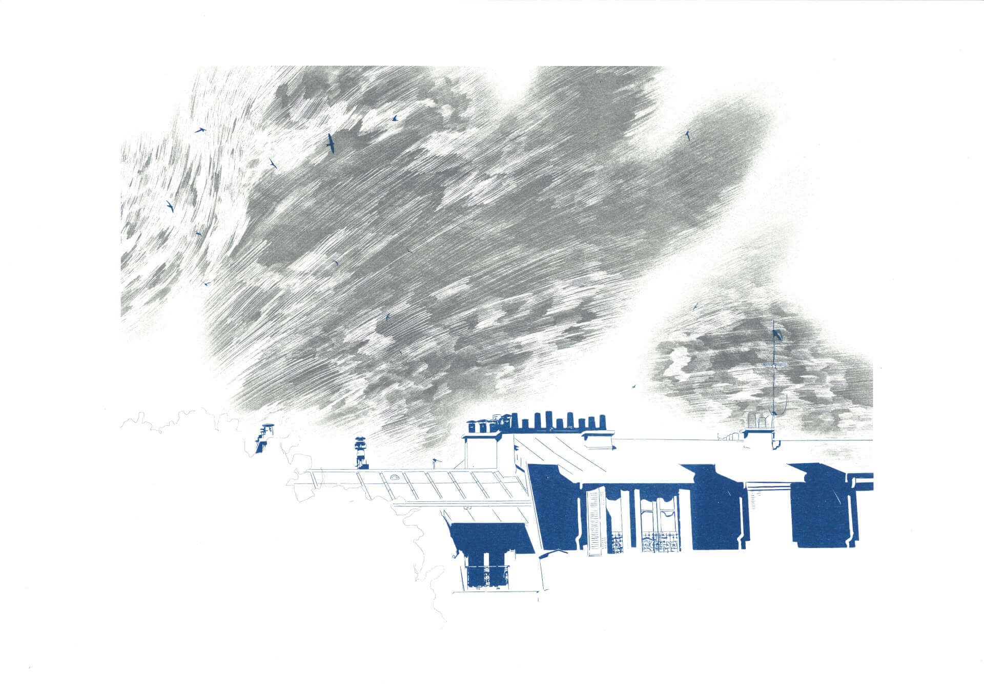 Jardin des plantes | Forgeries & En 3000 Éditions