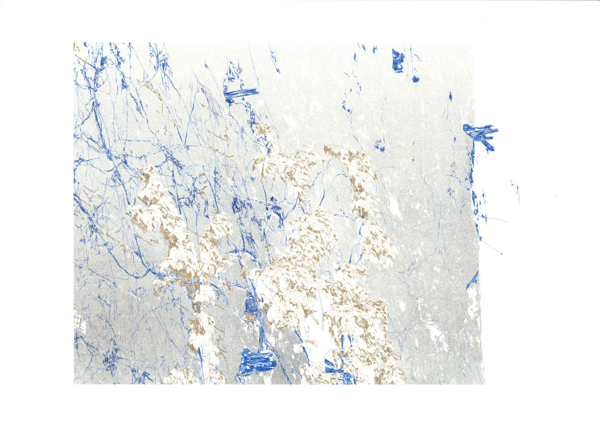 Murcité | Forgeries & En 3000 Éditions