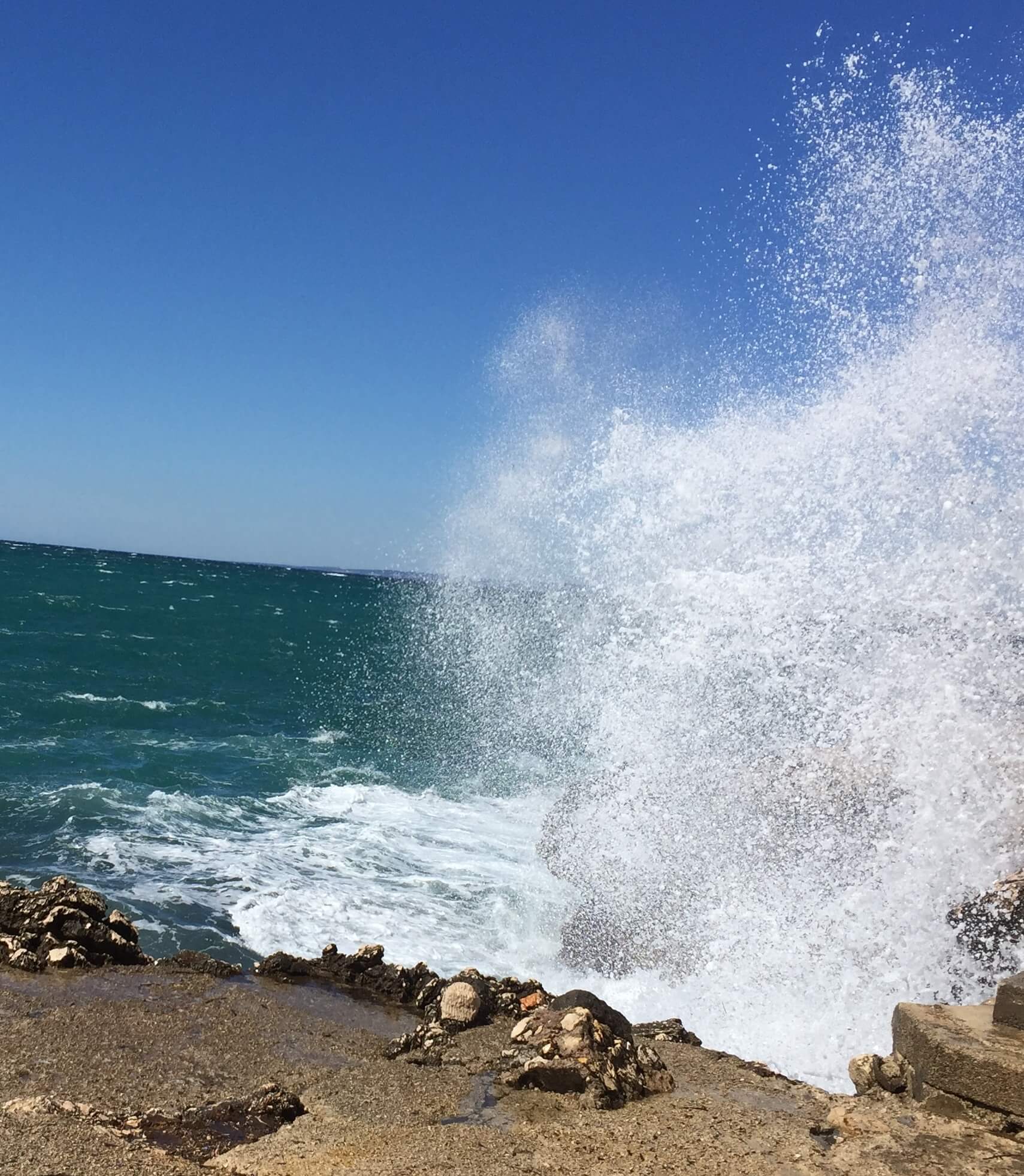 Nos vœux pour 2022 | Babelmed