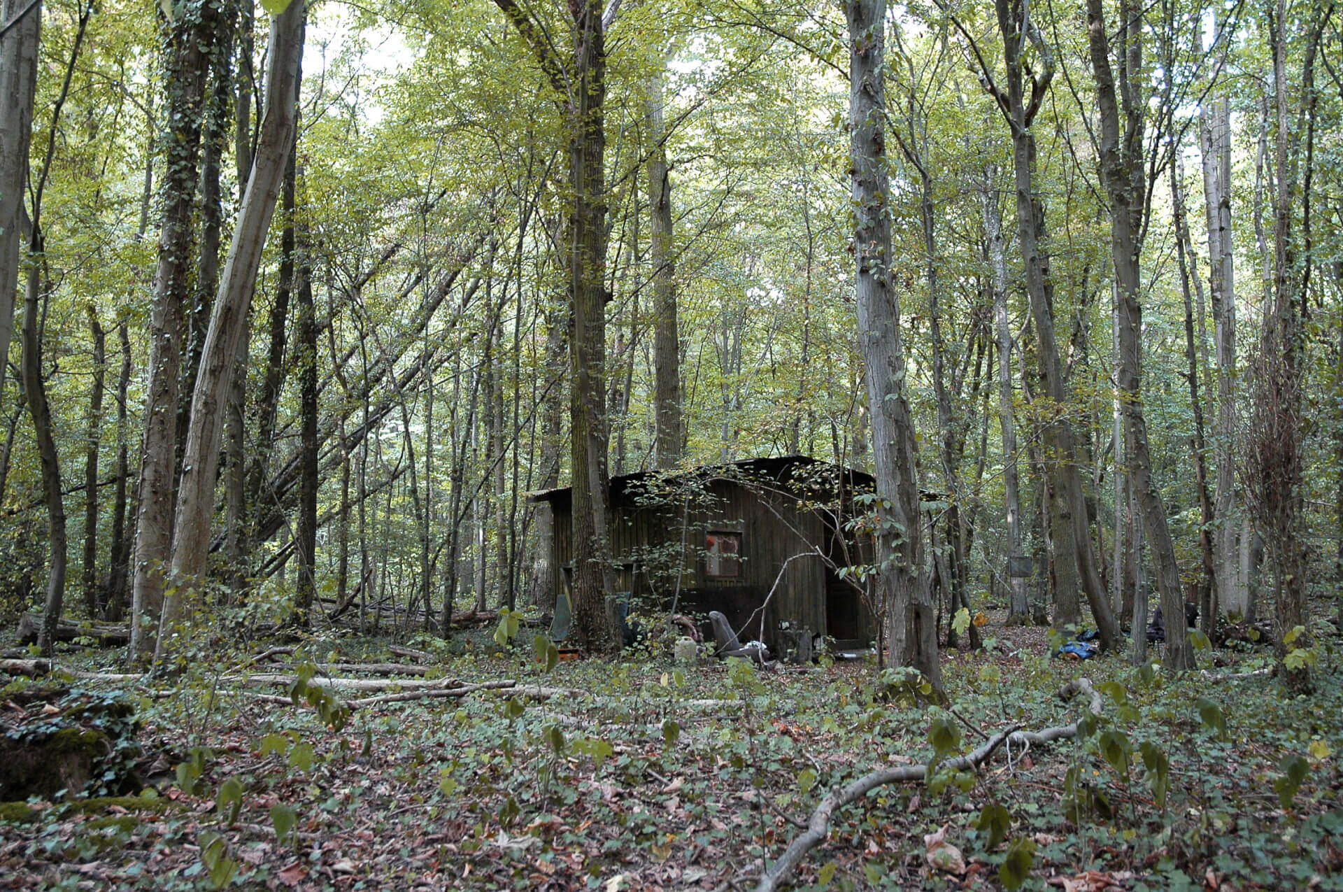 Décor Cabanne - "Simon Werner a disparu" | Fred et Fred Lapierre
