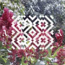 NICOLA CRUZ / PRENDER EL ALMA REMIXED | Star Wax Magazine