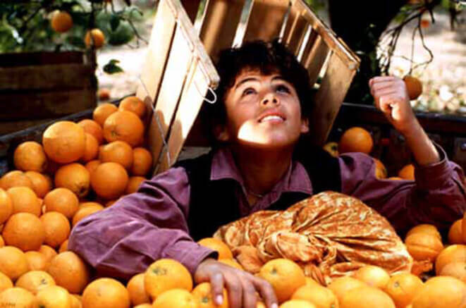 Le Conte des trois diamants | Festival Ciné-Palestine - FCP