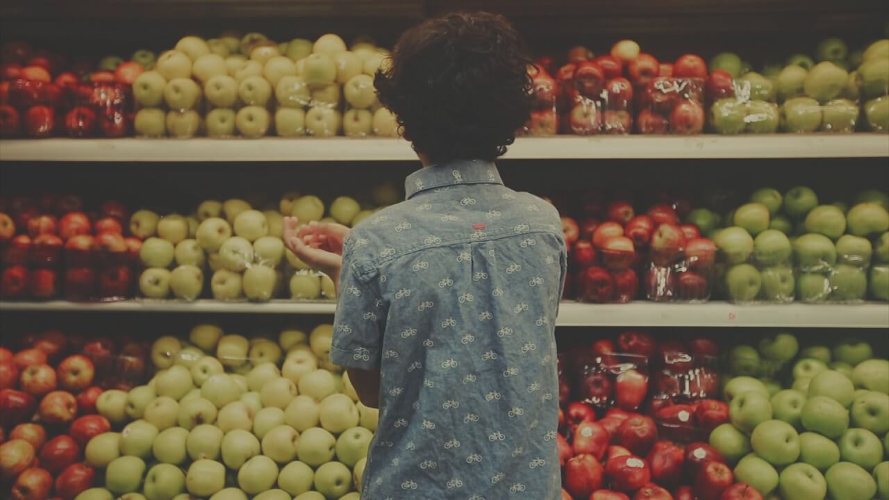 Memory of a Fish | Festival Ciné-Palestine - FCP