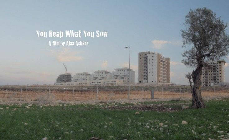 On récolte ce que l'on sème | Festival Ciné-Palestine - FCP