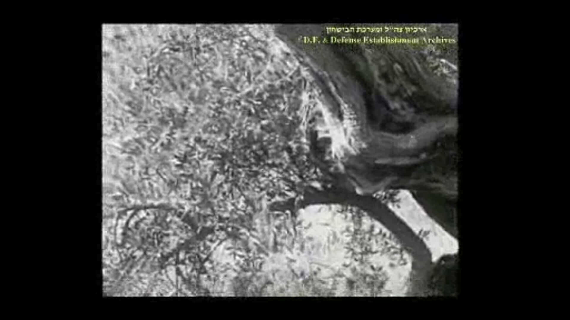 The Urgent Call of Palestine | Festival Ciné-Palestine - FCP