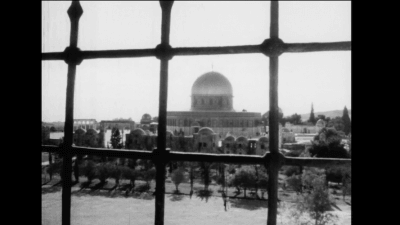 Zahrat Al-Madain aka The Flower of all Cities | Festival Ciné-Palestine - FCP